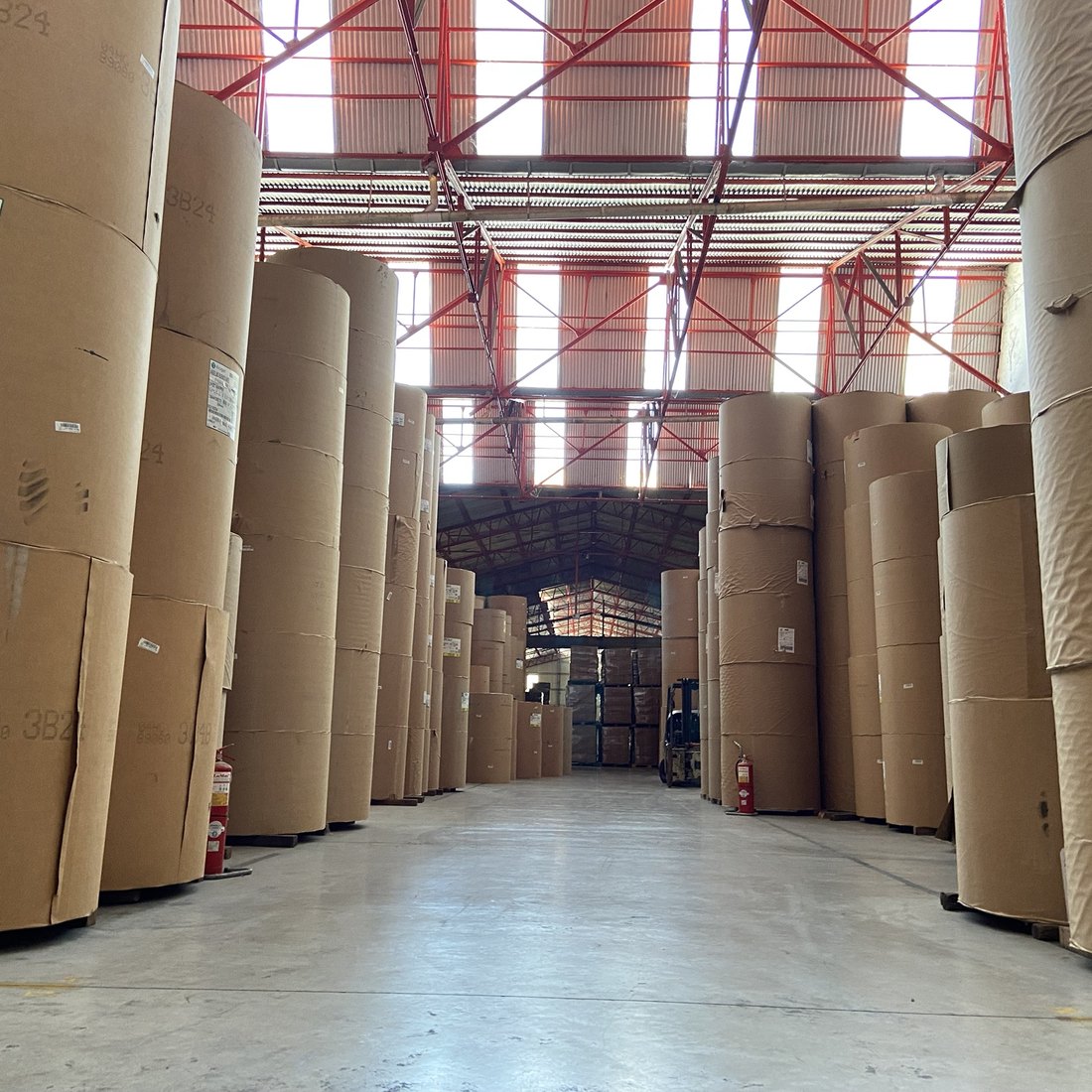 Deposito de Operador Logistico Cangiani con bobinas de papel almacenadas